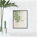 Picture of Few Olive Tree Leaves _GroupedProduct_Rectangle_Portrait_Photography _GroupedProduct_Rectangle_Portrait_Canvas_Framed_