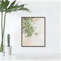 Picture of Few Olive Tree Leaves _GroupedProduct_Rectangle_Portrait_Photography _GroupedProduct_Rectangle_Portrait_Canvas_Framed_