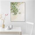 Picture of Few Olive Tree Leaves _GroupedProduct_Rectangle_Portrait_Photography _GroupedProduct_Rectangle_Portrait_Canvas_Framed_