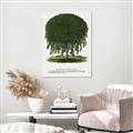 Picture of Kilmarnock Weeping Willow Tree Lithograph _GroupedProduct_Rectangle_Portrait_Unframed_Print_Only_