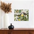 Picture of Parrots Nostalgic Journey 2 _GroupedProduct_Rectangle_Landscape_Unframed_Print_Only_