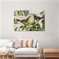 Picture of Parrots Nostalgic Journey 2 _GroupedProduct_Rectangle_Landscape_Unframed_Print_Only_