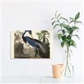 Picture of Vintage Heron Bird _GroupedProduct_Rectangle_Landscape_Unframed_Print_Only_