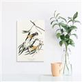 Picture of Two Yellow Warbler Birds _GroupedProduct_Rectangle_Portrait_Unframed_Print_Only_