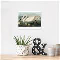 Picture of Vintage Floating White Swan _GroupedProduct_Rectangle_Landscape_Unframed_Print_Only_