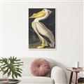 Picture of Vintage White Pelican _GroupedProduct_Rectangle_Portrait_Unframed_Print_Only_