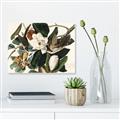 Picture of Black Billed Cuckoo Bird _GroupedProduct_Rectangle_Landscape_Unframed_Print_Only_