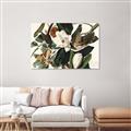 Picture of Black Billed Cuckoo Bird _GroupedProduct_Rectangle_Landscape_Unframed_Print_Only_
