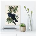 Picture of Raven From Birds of America (1827) _GroupedProduct_Rectangle_Portrait_Unframed_Print_Only_