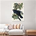 Picture of Raven From Birds of America (1827) _GroupedProduct_Rectangle_Portrait_Unframed_Print_Only_