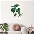 Picture of Nostalgic Green Lilac Leaves _GroupedProduct_Rectangle_Portrait_Unframed_Print_Only_