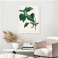 Picture of Nostalgic Green Lilac Leaves _GroupedProduct_Rectangle_Portrait_Unframed_Print_Only_