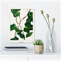 Picture of Nostalgic Green Murgrona Leaves _GroupedProduct_Rectangle_Portrait_Unframed_Print_Only_