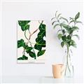 Picture of Nostalgic Green Murgrona Leaves _GroupedProduct_Rectangle_Portrait_Unframed_Print_Only_