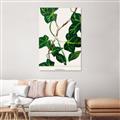 Picture of Nostalgic Green Murgrona Leaves _GroupedProduct_Rectangle_Portrait_Unframed_Print_Only_