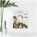 Picture of Romantic Blur Peony V _GroupedProduct_Rectangle_Portrait_Photography _GroupedProduct_Rectangle_Portrait_Unframed_Print_Only_