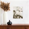 Picture of Romantic Blur Peony V _GroupedProduct_Rectangle_Portrait_Photography _GroupedProduct_Rectangle_Portrait_Unframed_Print_Only_