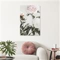 Picture of Romantic Blur Peony V _GroupedProduct_Rectangle_Portrait_Photography _GroupedProduct_Rectangle_Portrait_Unframed_Print_Only_