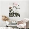 Picture of Romantic Blur Peony V _GroupedProduct_Rectangle_Portrait_Photography _GroupedProduct_Rectangle_Portrait_Unframed_Print_Only_