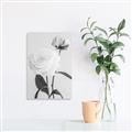 Picture of Romantic Blur Peony III _GroupedProduct_Rectangle_Portrait_Photography _GroupedProduct_Rectangle_Portrait_Unframed_Print_Only_