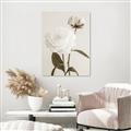 Picture of Romantic Blur Peony III _GroupedProduct_Rectangle_Portrait_Photography _GroupedProduct_Rectangle_Portrait_Unframed_Print_Only_