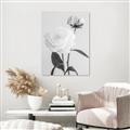 Picture of Romantic Blur Peony III _GroupedProduct_Rectangle_Portrait_Photography _GroupedProduct_Rectangle_Portrait_Unframed_Print_Only_
