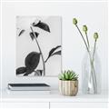 Picture of Romantic Blur Peony II _GroupedProduct_Rectangle_Portrait_Photography _GroupedProduct_Rectangle_Portrait_Unframed_Print_Only_
