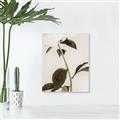 Picture of Romantic Blur Peony II _GroupedProduct_Rectangle_Portrait_Photography _GroupedProduct_Rectangle_Portrait_Unframed_Print_Only_