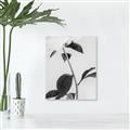 Picture of Romantic Blur Peony II _GroupedProduct_Rectangle_Portrait_Photography _GroupedProduct_Rectangle_Portrait_Unframed_Print_Only_