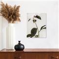 Picture of Romantic Blur Peony II _GroupedProduct_Rectangle_Portrait_Photography _GroupedProduct_Rectangle_Portrait_Unframed_Print_Only_