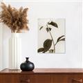 Picture of Romantic Blur Peony II _GroupedProduct_Rectangle_Portrait_Photography _GroupedProduct_Rectangle_Portrait_Unframed_Print_Only_