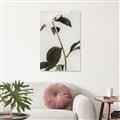 Picture of Romantic Blur Peony II _GroupedProduct_Rectangle_Portrait_Photography _GroupedProduct_Rectangle_Portrait_Unframed_Print_Only_