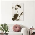 Picture of Romantic Blur Peony II _GroupedProduct_Rectangle_Portrait_Photography _GroupedProduct_Rectangle_Portrait_Unframed_Print_Only_