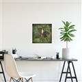 Picture of Tropical Paradise Toucan Bird _GroupedProduct_Square_Unframed_Print_Only_