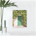 Picture of Green Door with Lush Leaves _GroupedProduct_Rectangle_Portrait_Photography _GroupedProduct_Rectangle_Portrait_Unframed_Print_Only_