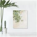 Picture of Few Olive Tree Leaves _GroupedProduct_Rectangle_Portrait_Photography _GroupedProduct_Rectangle_Portrait_Unframed_Print_Only_