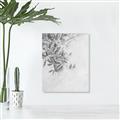 Picture of Few Olive Tree Leaves _GroupedProduct_Rectangle_Portrait_Photography _GroupedProduct_Rectangle_Portrait_Unframed_Print_Only_