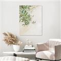 Picture of Few Olive Tree Leaves _GroupedProduct_Rectangle_Portrait_Photography _GroupedProduct_Rectangle_Portrait_Unframed_Print_Only_