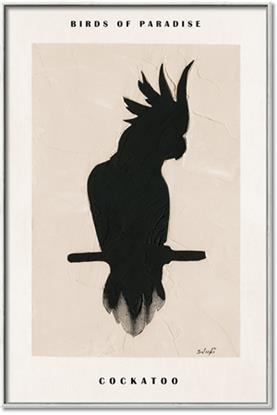 Picture of Vintage Cockatoo