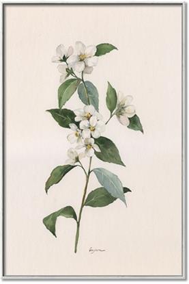 Picture of Swaying Foliage III