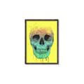 Picture of Street Art Skull _GroupedProduct_Rectangle_Portrait_Canvas_Framed_