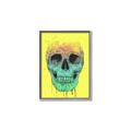 Picture of Street Art Skull _GroupedProduct_Rectangle_Portrait_Canvas_Framed_