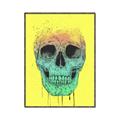 Picture of Street Art Skull _GroupedProduct_Rectangle_Portrait_Canvas_Framed_
