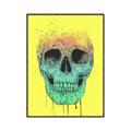 Picture of Street Art Skull _GroupedProduct_Rectangle_Portrait_Canvas_Framed_