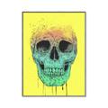 Picture of Street Art Skull _GroupedProduct_Rectangle_Portrait_Canvas_Framed_
