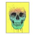 Picture of Street Art Skull _GroupedProduct_Rectangle_Portrait_Canvas_Framed_