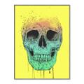 Picture of Street Art Skull _GroupedProduct_Rectangle_Portrait_Canvas_Framed_