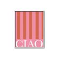 Picture of Ciao Stripes in Pink _GroupedProduct_Rectangle_Portrait_Canvas_Framed_