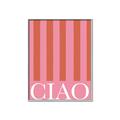 Picture of Ciao Stripes in Pink _GroupedProduct_Rectangle_Portrait_Canvas_Framed_