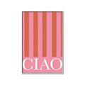 Picture of Ciao Stripes in Pink _GroupedProduct_Rectangle_Portrait_Canvas_Framed_